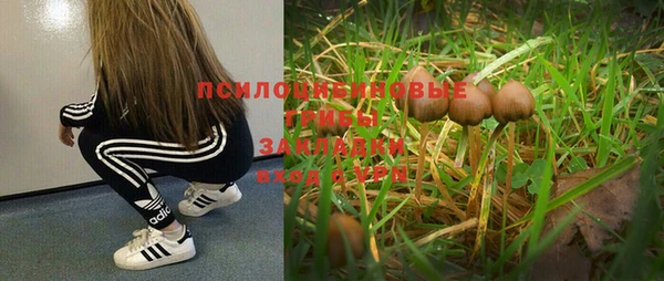 каннабис Аркадак