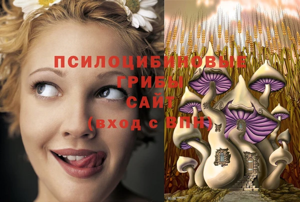 каннабис Аркадак